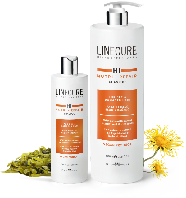 CHAMPU LINECURE 1000ML HIPERTIN CABELLO SECO Y DAÑADO