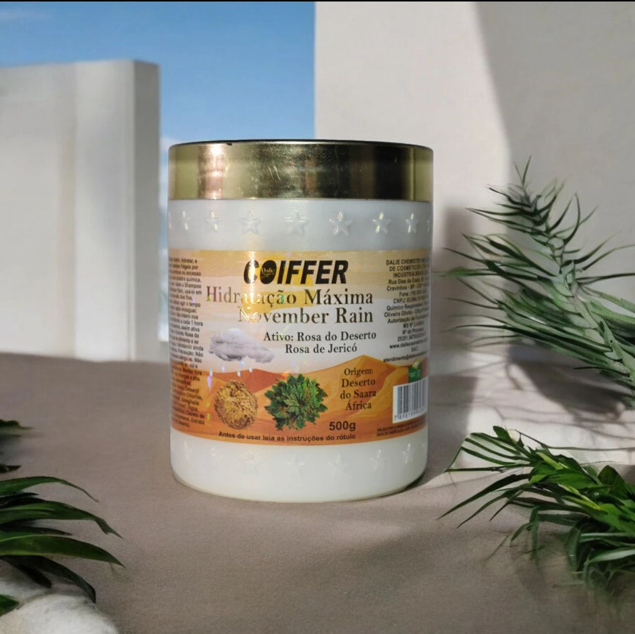 Coiffer MASCARILLA HIDRATACION MAXIMA 500G — Unidad